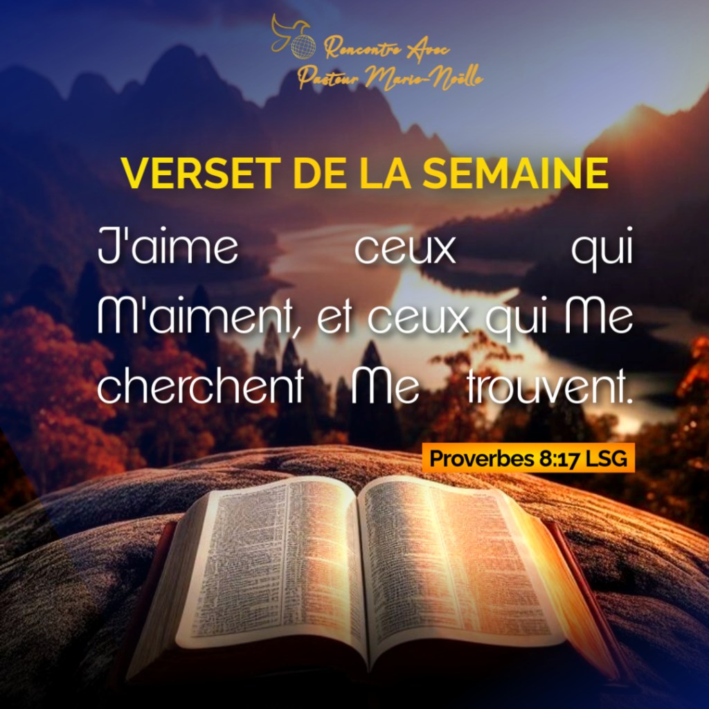 Proverbes 8:17